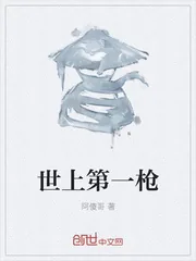 《世上第一枪》小说封面