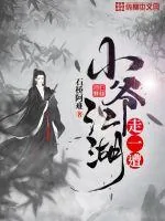 《小爷江湖走一遭》小说封面