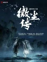 《微尘传》小说封面