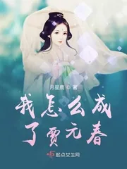 《我怎么成了贾元春》小说封面