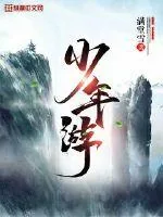 《少年游》小说封面