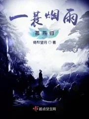 《一蓑烟雨孤燕归》小说封面