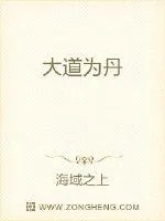 《大道为丹》小说封面