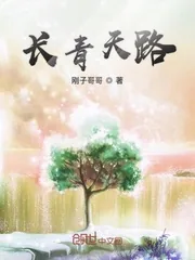 《长青天路》小说封面
