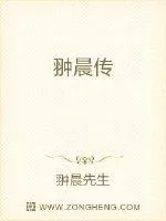 《翀晨传》小说封面