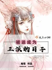 《被迫成为正派的日子》小说封面