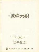 《诚挚天狼》小说封面