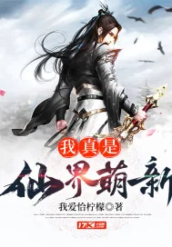 《我真是仙界萌新》小说封面