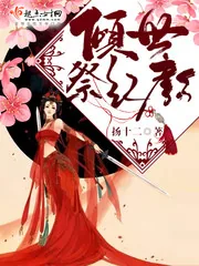 《倾世祭红颜》小说封面