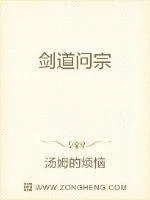 《剑道问宗》小说封面
