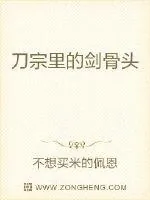 《刀宗里的剑骨头》小说封面
