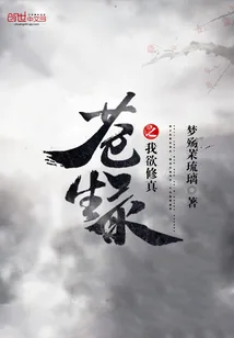 《苍生录之我欲修真》小说封面