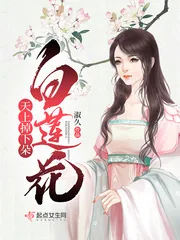 《天上掉下朵白莲花》小说封面