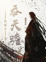《西游之吞天蟾》小说封面