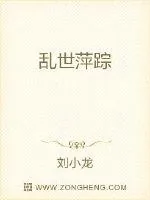 《乱世萍踪》小说封面