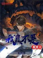 《我真不是救世主》小说封面
