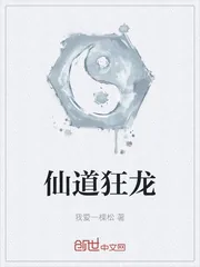 《仙道狂龙》小说封面