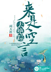 《来是空言去绝踪》小说封面
