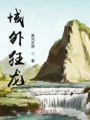 《域外狂龙》小说封面