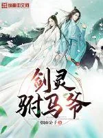 《剑灵驸马爷》小说封面