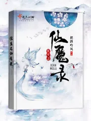 《往生之仙魔录》小说封面