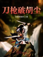 《刀枪破胡尘》小说封面