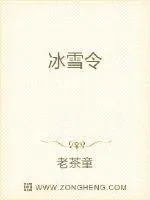 《冰雪令》小说封面