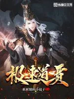 《极速道贾》小说封面