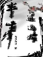 《半生逍遥游》小说封面