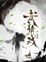 《武情戏洛书》小说封面