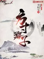 《方寸游子》小说封面