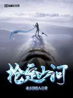 《枪定山河》小说封面