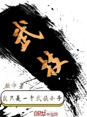 《我只是一个武侠小子》小说封面