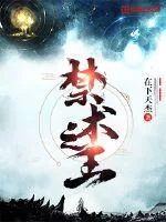《禁术之王》小说封面