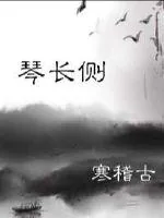《魏晋风云》小说封面