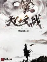 《天人交战》小说封面