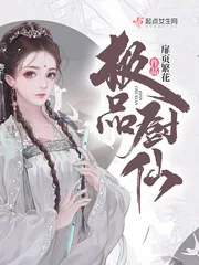 《极品厨仙》小说封面