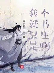 《我就只是个书生啊》小说封面