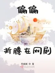 《偏偏折腾在网剧》小说封面