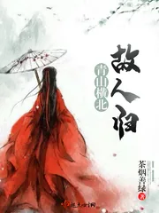 《青山横北故人归》小说封面
