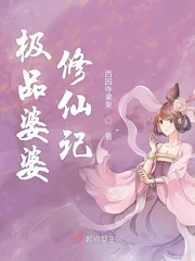 《极品婆婆修仙记》小说封面