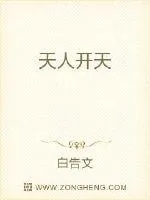 《天人开天》小说封面