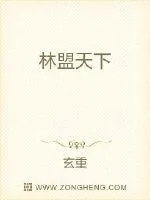 《林盟天下》小说封面