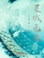 《帝尊之星域无敌》小说封面