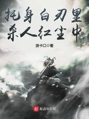 《托身白刃里，杀人红尘中》小说封面