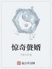 《惊奇赘婿》小说封面
