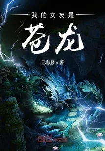 《我的女友是苍龙》小说封面