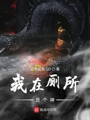 《我在厕所是个神》小说封面