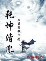 《乾坤清胤》小说封面