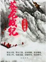 《苍龙战纪》小说封面